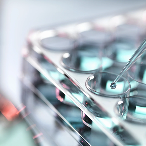 Biotech Laboratory Automation